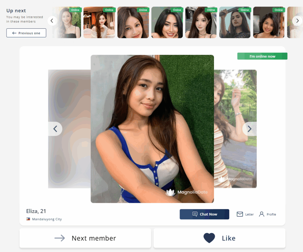 Search and Interactive Matching